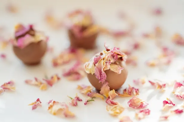 Fever Slots Kazino Android/iOS Lietotne